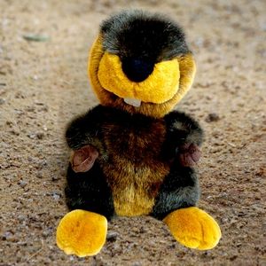 Commonwealth Toy Plush Realistic 15" Beaver Plush/Stuffed Animal
